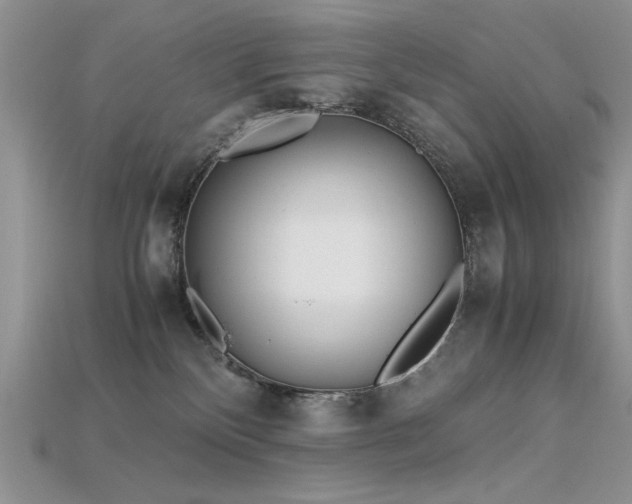 X0000115680136200911121254