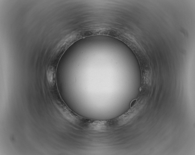 X0000115680138200911121254