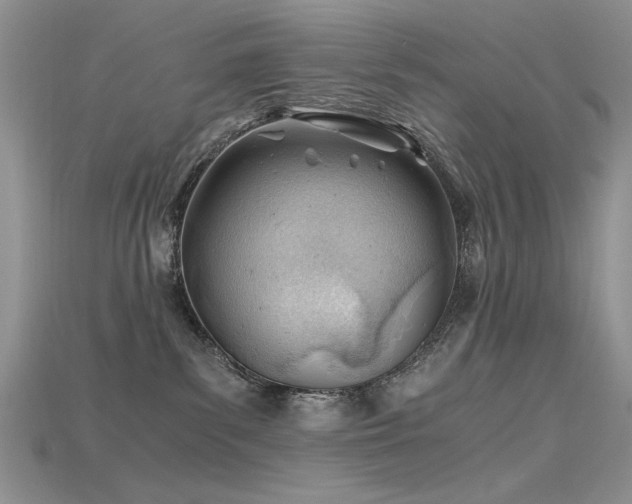 X0000115680139200911121254