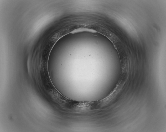 X0000115680140200911121254