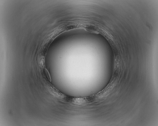 X0000115680141200911121254