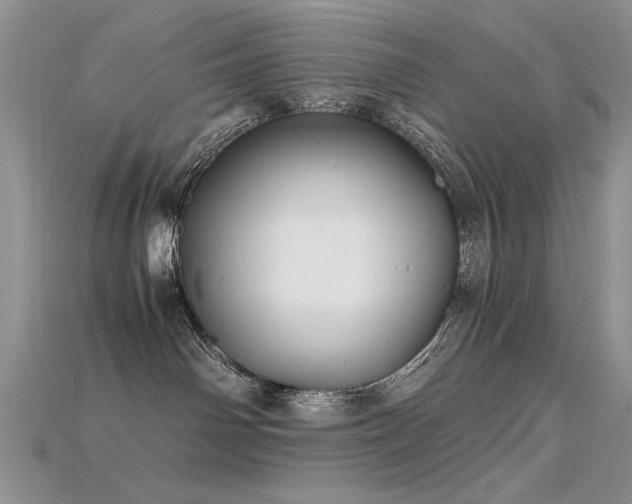 X0000115680142200911121254