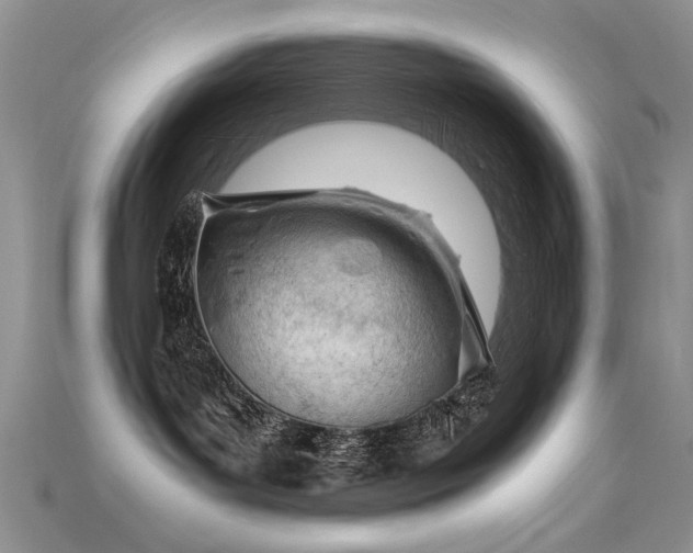 X0000115680143200911121254