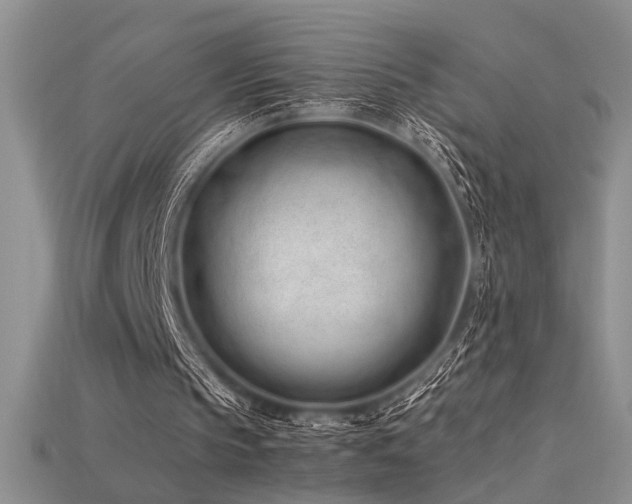 X0000115680145200911121254