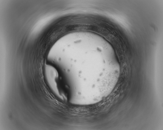 X0000115680146200911121254