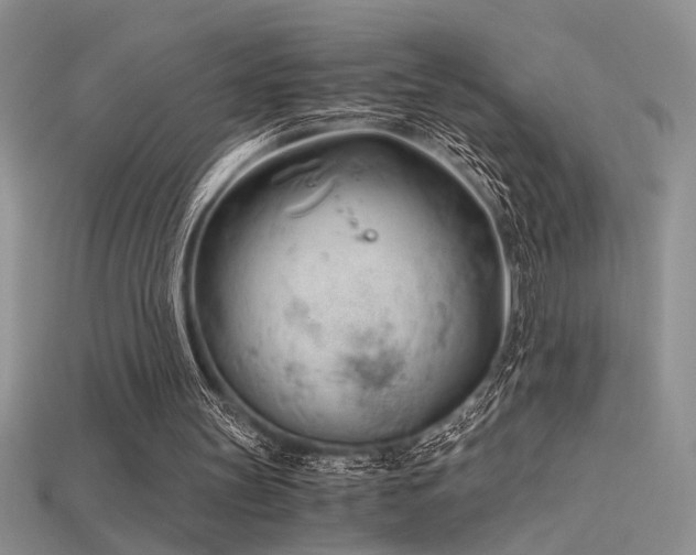 X0000115680147200911121254