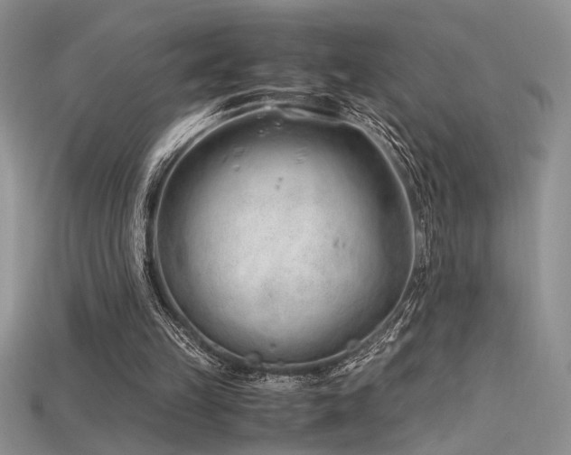 X0000115680149200911121254