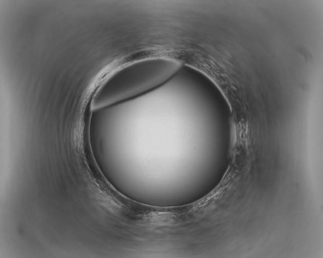 X0000115680150200911121254