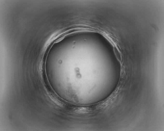 X0000115680151200911121254