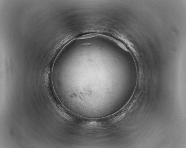 X0000115680153200911121254