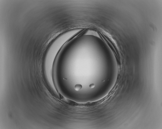 X0000115680154200911121254