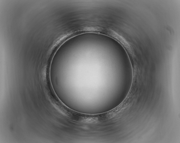 X0000115680155200911121254