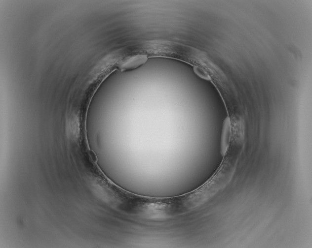 X0000115680158200911121254