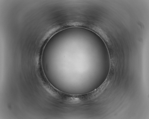 X0000115680159200911121254