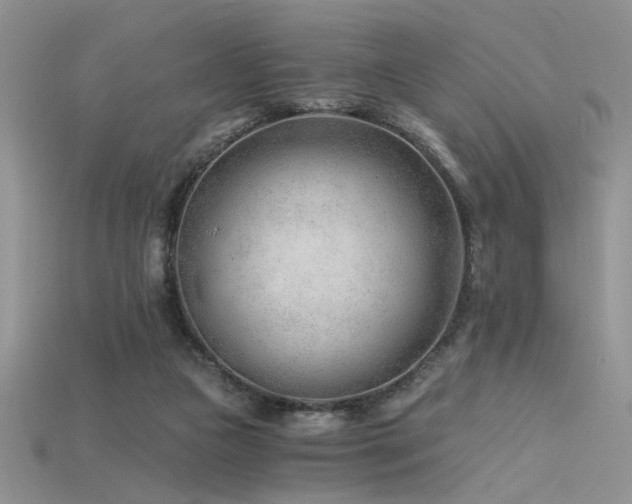 X0000115680161200911121254