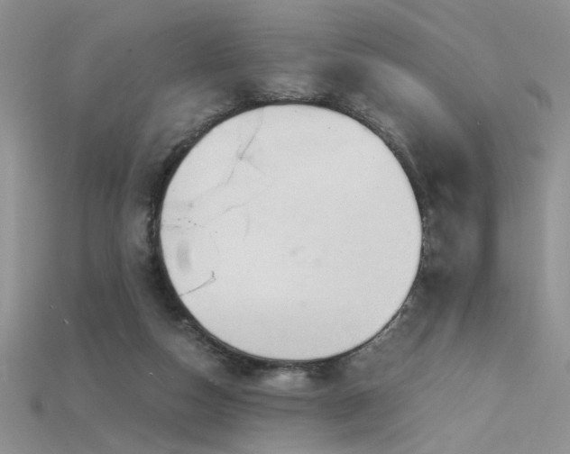 X0000115680162200911121254