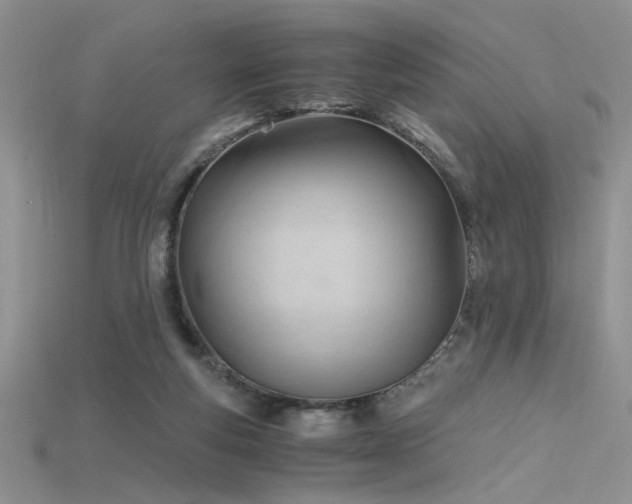 X0000115680163200911121254