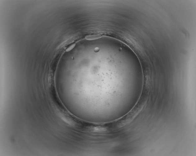 X0000115680165200911121254