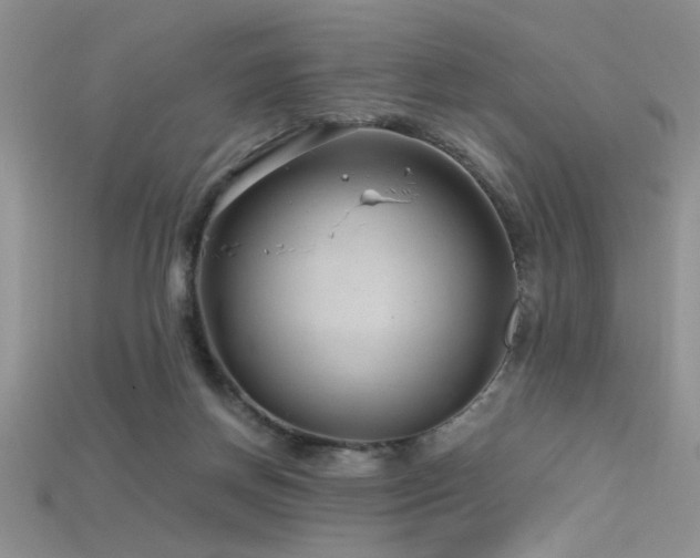 X0000115680166200911121254