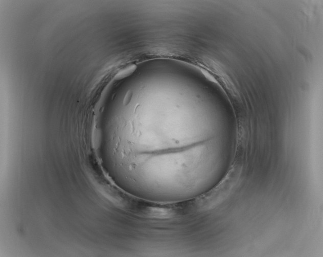 X0000115680167200911121254