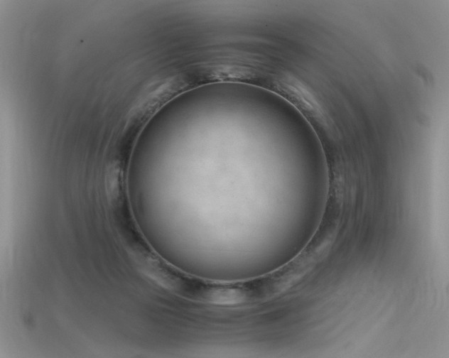 X0000115680169200911121254