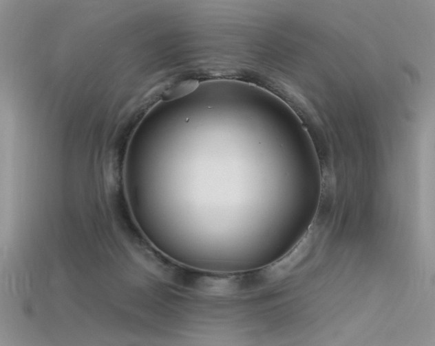 X0000115680170200911121254