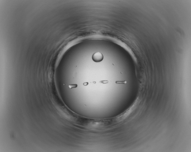 X0000115680174200911121254