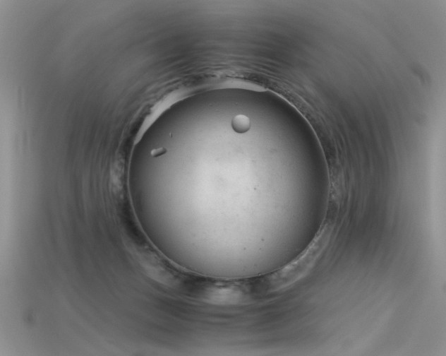 X0000115680175200911121254