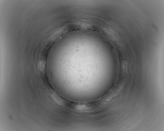 X0000115680177200911121254