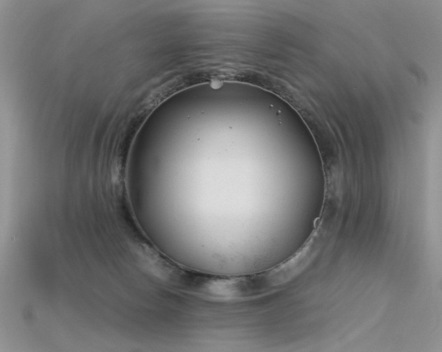 X0000115680178200911121254