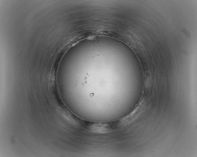 X0000115680179200911121254