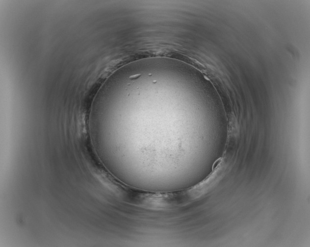 X0000115680182200911121254