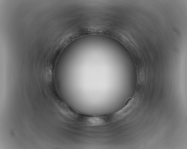 X0000115680183200911121254