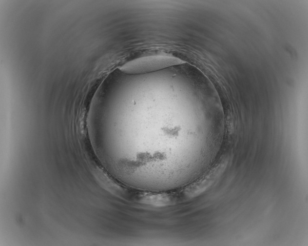 X0000115680185200911121254