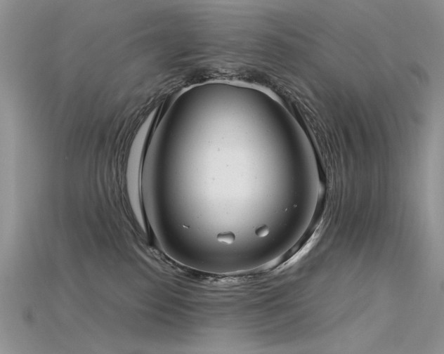 X0000115680186200911121254