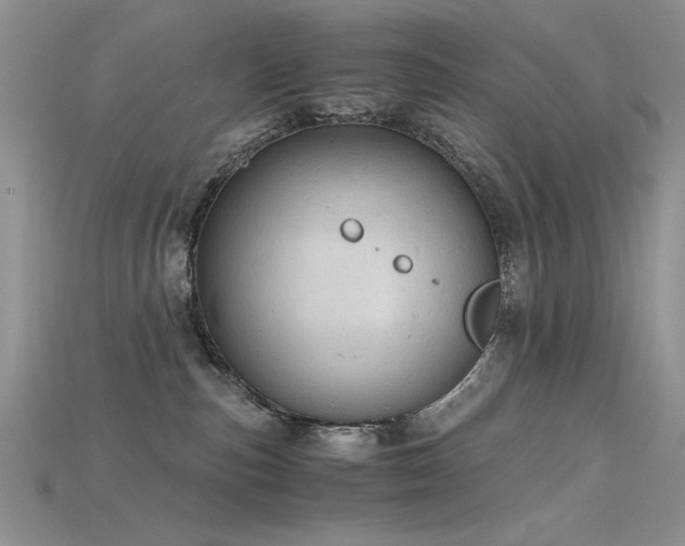 X0000115680187200911121254