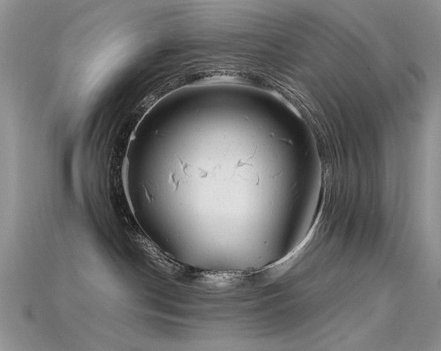 X0000115680190200911121254