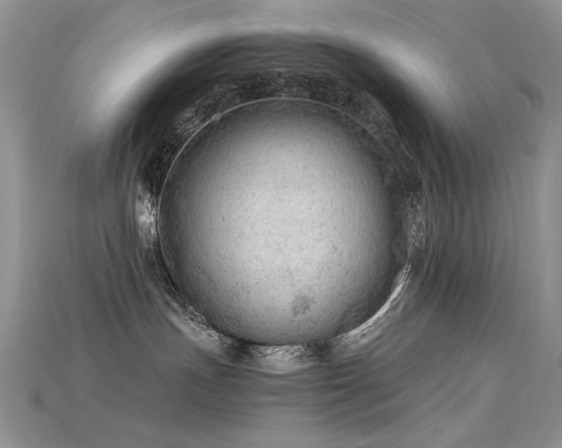 X0000115680191200911121254