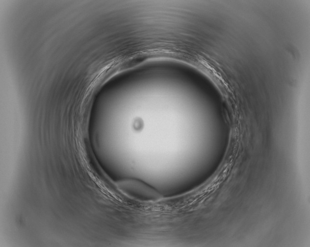 X0000115680193200911121254