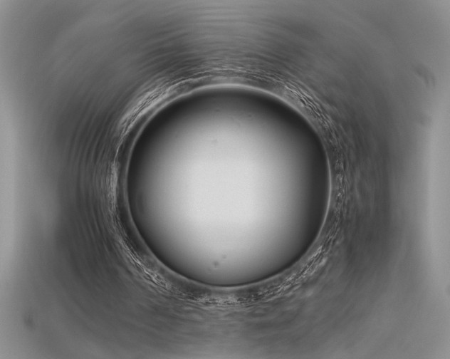 X0000115680194200911121254