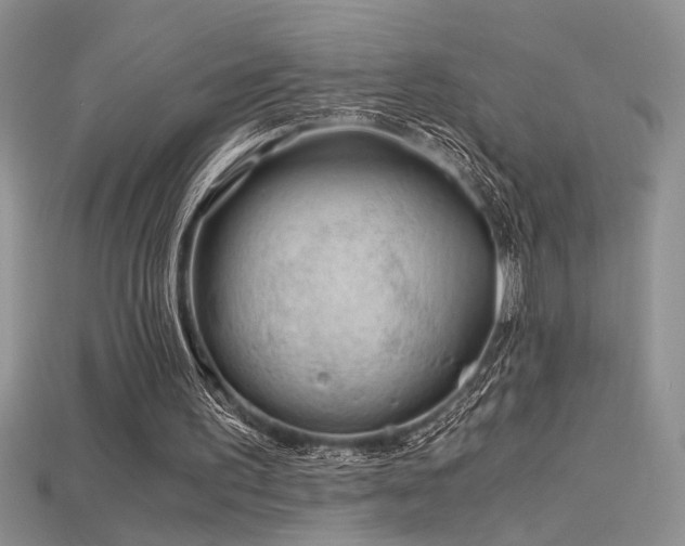 X0000115680195200911121254