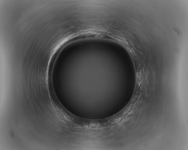 X0000115680196200911121254