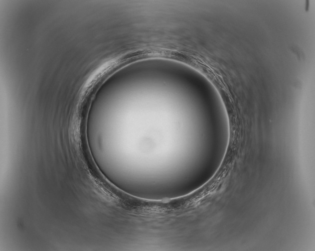 X0000115680197200911121254