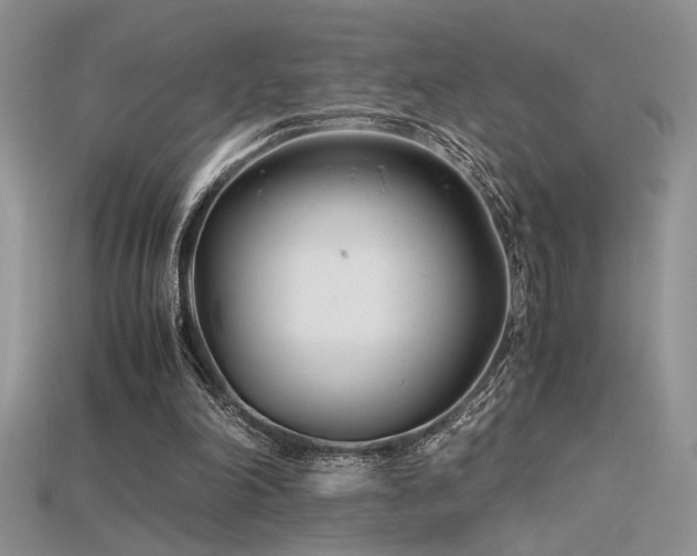 X0000115680198200911121254