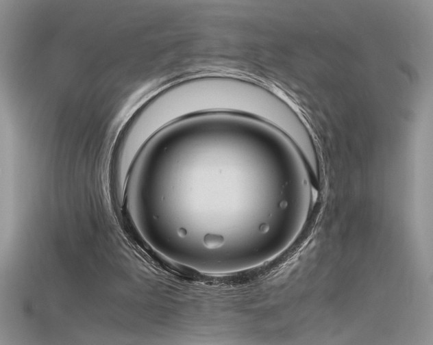 X0000115680199200911121253