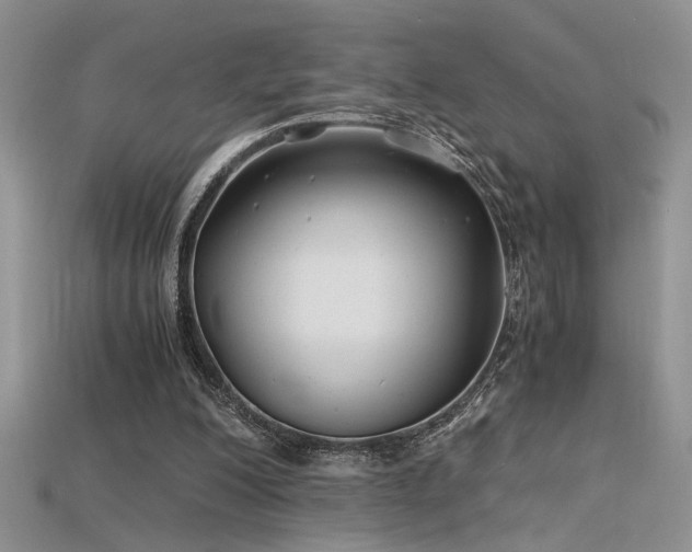 X0000115680200200911121253