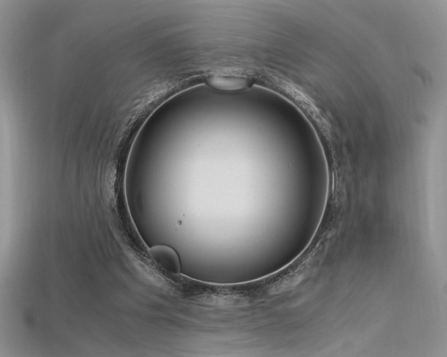 X0000115680201200911121253