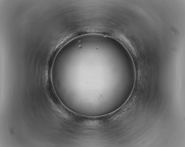 X0000115680202200911121253