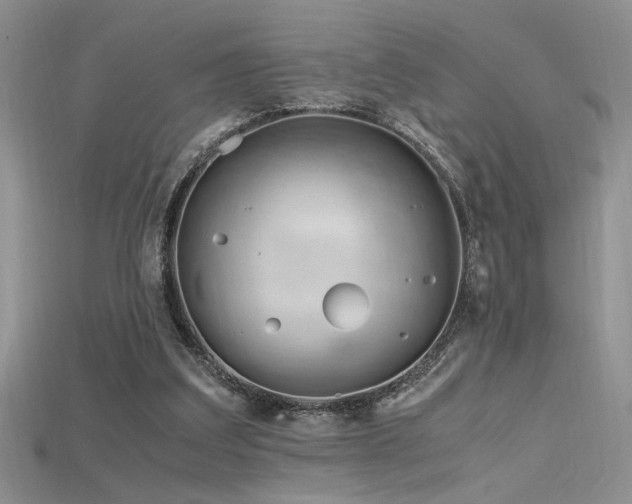 X0000115680203200911121253