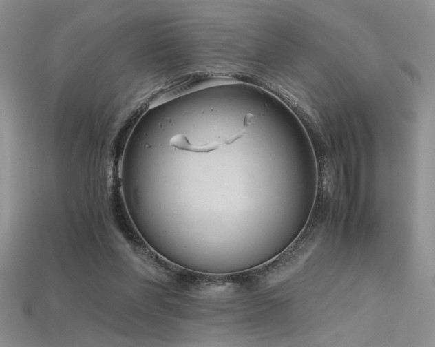 X0000115680206200911121253